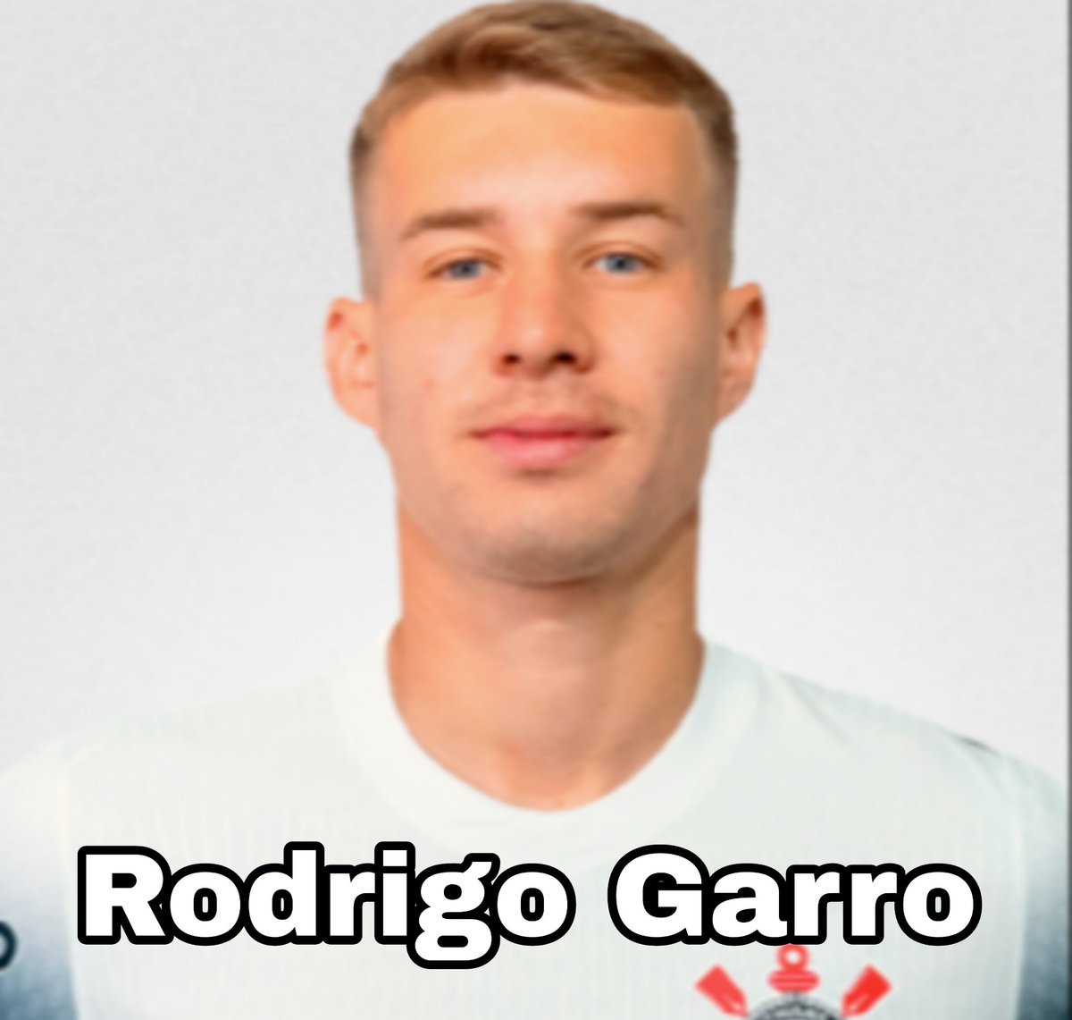 Cavalinho do Corinthians tweet media