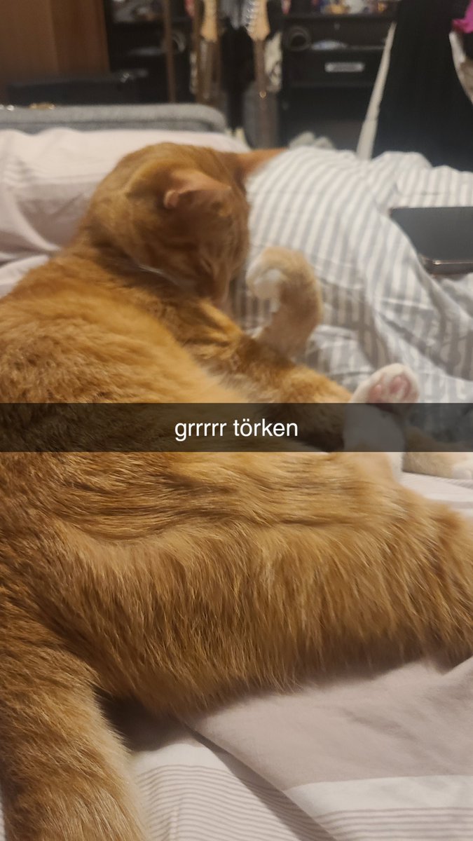 leoatze's tweet photo. sohnemann hat geburtstag 💗 https://t.co/4xzPuuPpR9