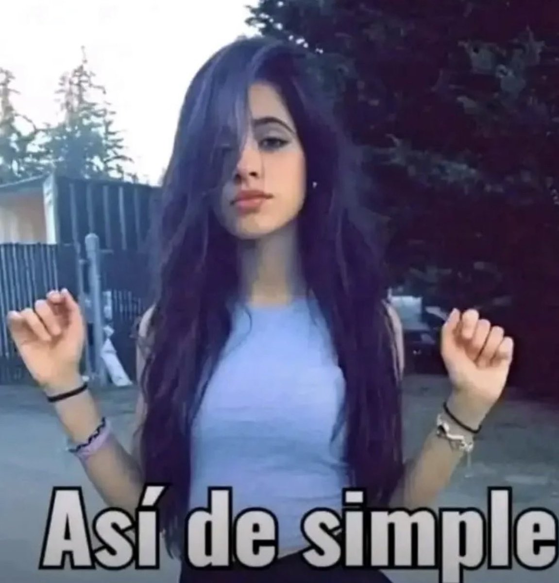 ally tweet media