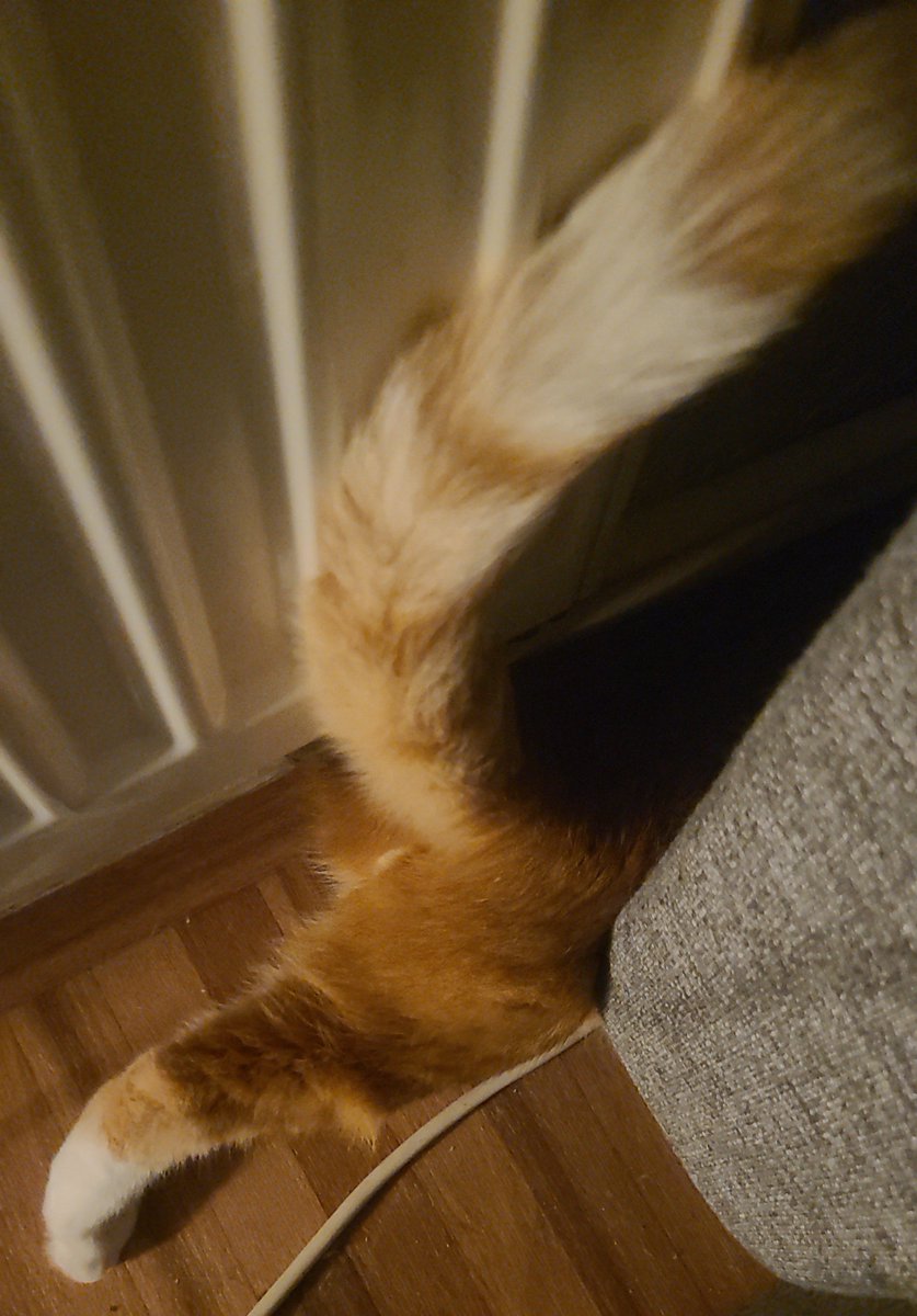leoatze's tweet photo. sohnemann hat geburtstag 💗 https://t.co/4xzPuuPpR9