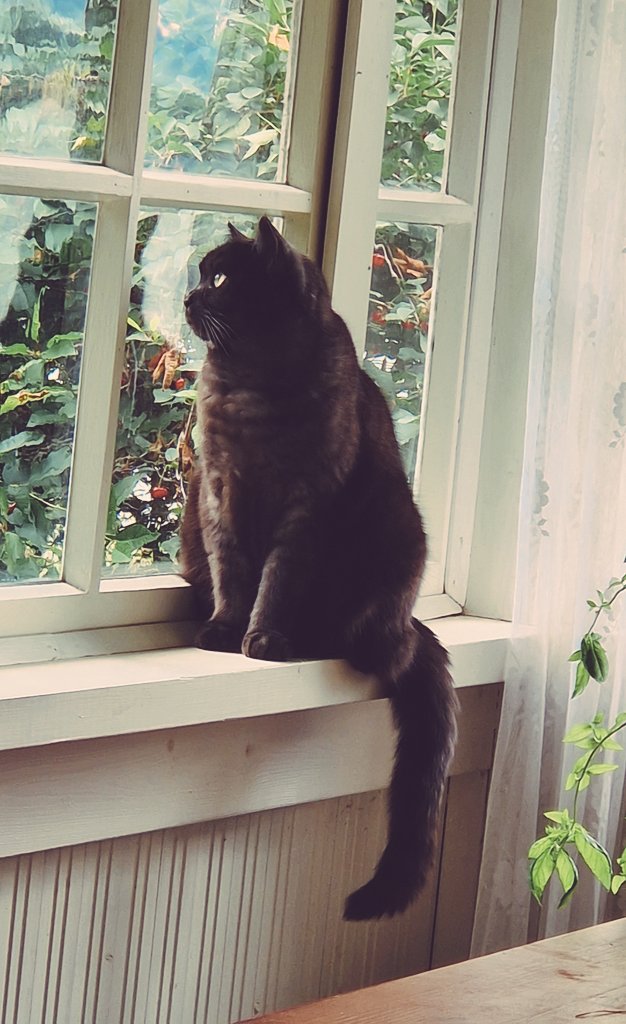 GranlundMarkus's tweet photo. "Tuulisen sadepäivän ihmettelijä"
Yksityiskokoelma, 2026
Ei myytävänä
#Poju 🐱 https://t.co/x1mcFBuESq