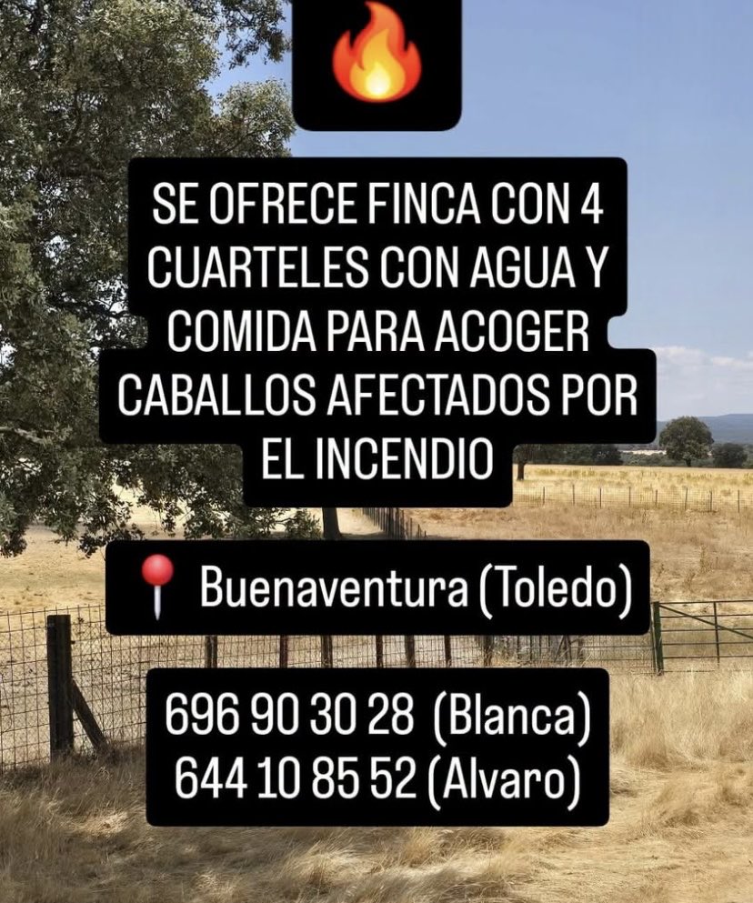 anadeluis's tweet photo. #animales #incendios https://t.co/PkmeoqfCIZ