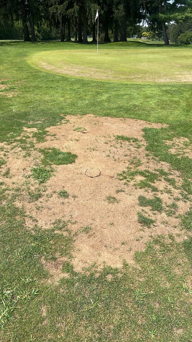 FranchiseSMH's tweet photo. Harmon Golf Course being Lebanon Golf home course is an absolute embarrassment. Oh and it’s 9 holes… what are we doing? https://t.co/NRtOFURNiP