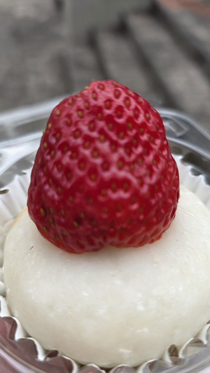 SweetKamite's tweet photo. チリでも時々こういうものを見かけることがある https://t.co/QnZ10lde6b