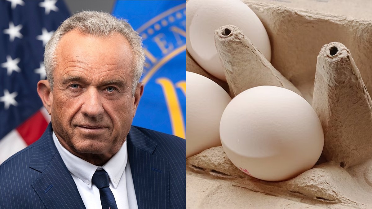 ShaniSyed749024's tweet photo. The FDA has announced that 1.6 million eggs have been contaminated with salmonella, forcing a nationwide recall.

Last year, the Trump administration scrapped regulations to limit salmonella and laid off hundreds of food safety inspection workers. https://t.co/JervMYf4Xu