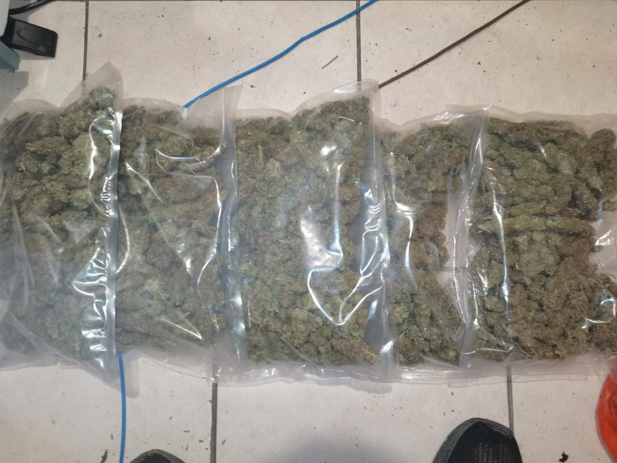 mobileplugu1's tweet photo. DIESEL DEAL
Pre rolls
Available HMU
📍deliveries on going
#weed #Alaska #alaskaweed #Kissimmeet #Miami #Davenport #Poinciana #Disney100 #florida #LenaThePlug
#CannabisCommunity #tampa #stoners #plug #plugs #plugins #billionair #futurebillionaire #billionaireslifestyle #billionia https://t.co/8sigyYfKFc