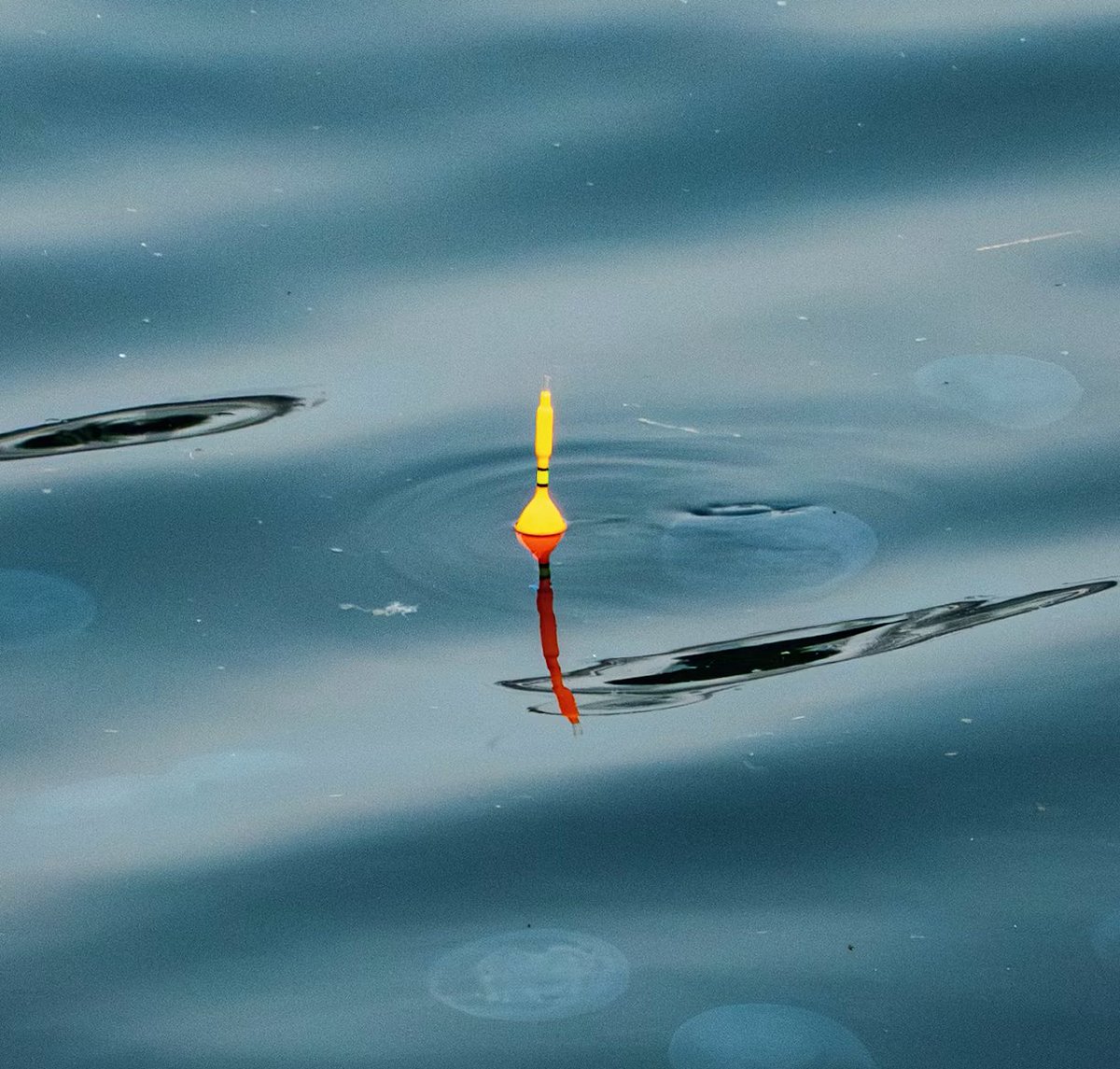 mindeyi's tweet photo. @elonmusk @DJSnM When land it on water... without a splash. @elonmusk https://t.co/NCyS9zgLDL