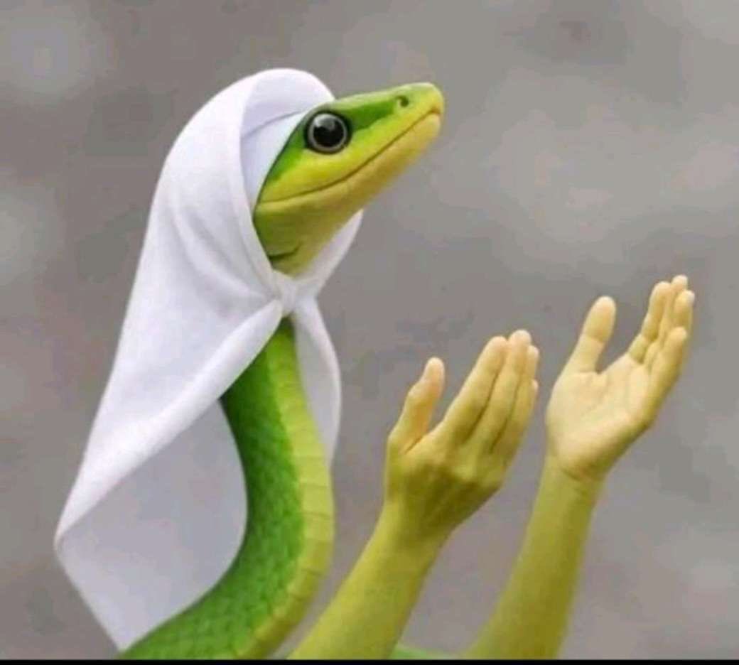 اينار tweet media