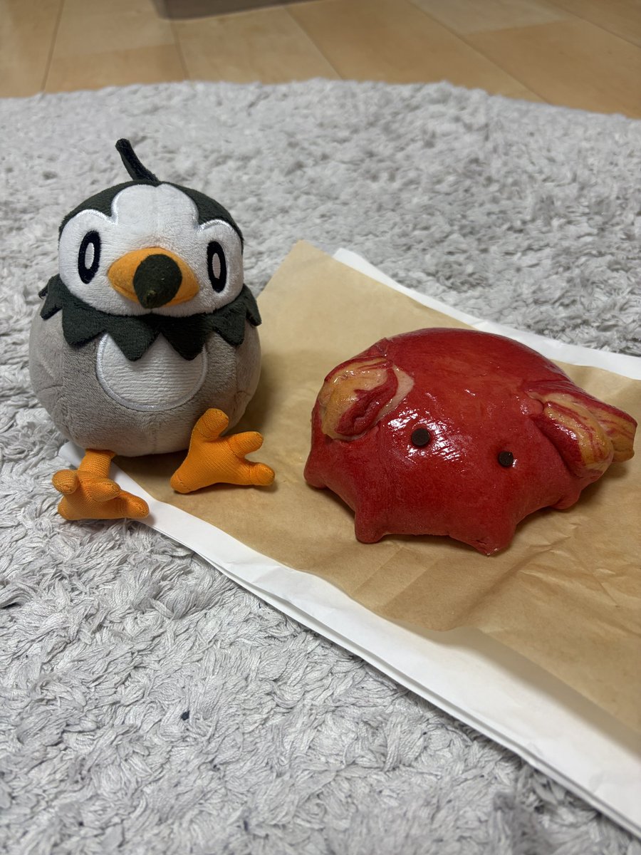 nyomu_2's tweet photo. めんだこぱんʕ  •   •  ʔ https://t.co/xNgLmze7kG