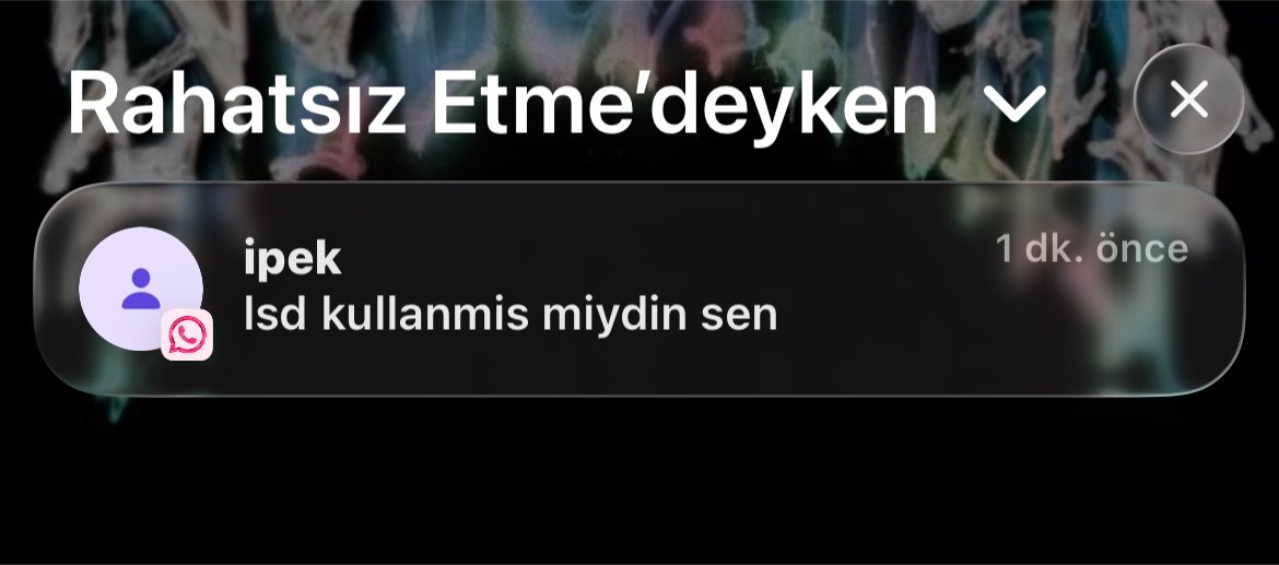 änıl+ tweet media