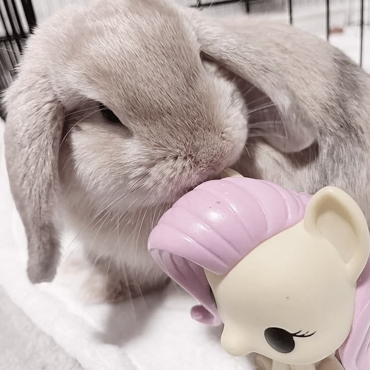 mahoutokki's tweet photo. https://t.co/YpJGA8sGSa