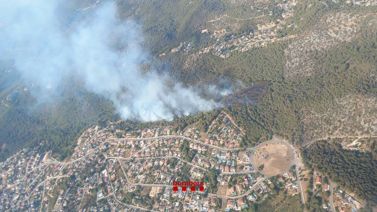 bomberscat tweet picture
