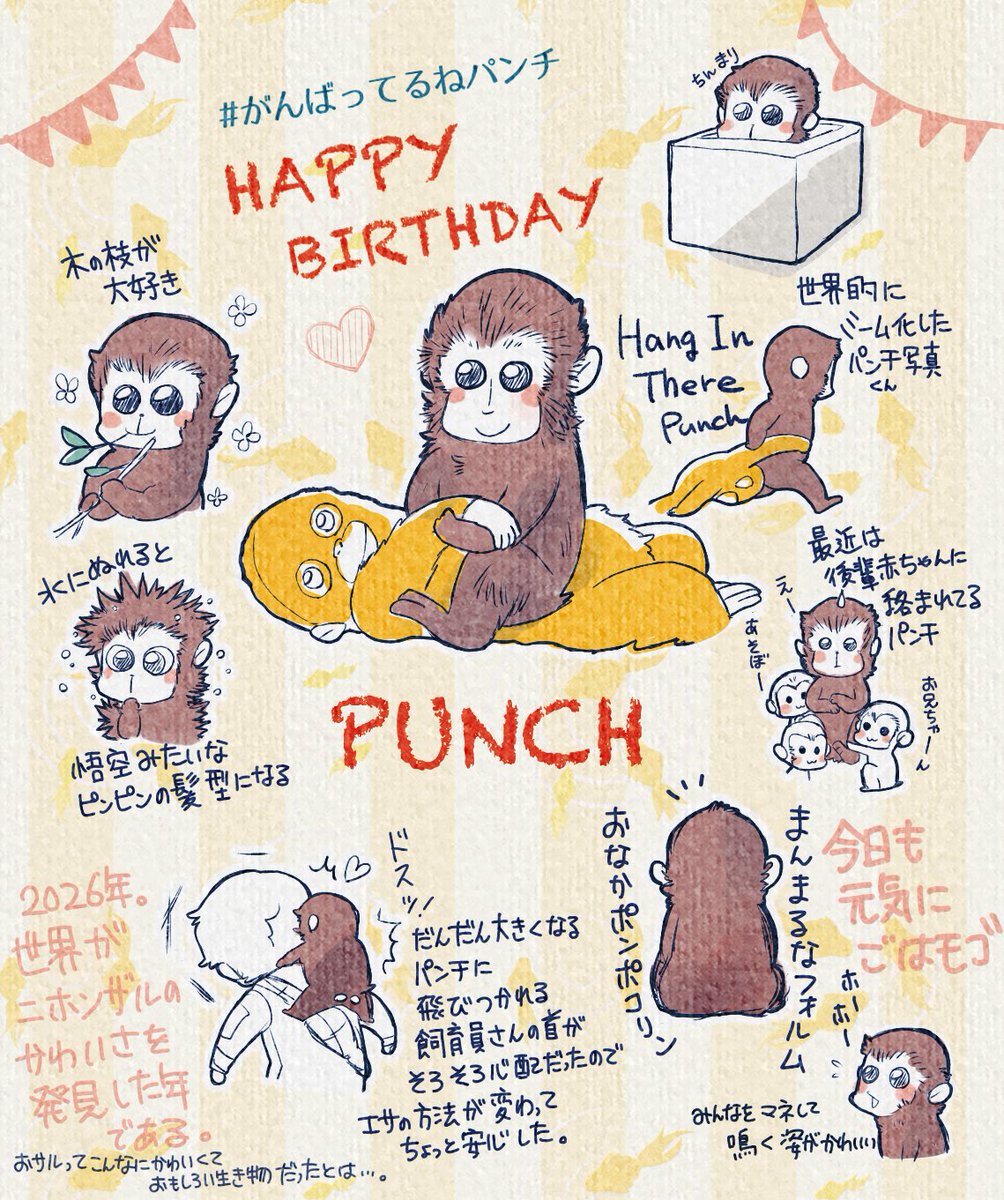 achachapen's tweet photo. ジェジュンじゃなくてすいません😂
パンチくん用のアカウントはないのでここで😂

お誕生日おめでとうパンチくん🎂
2月から見てるけど、ずっと人気が止まらなくてすごい。

#HappyBirthdayPunch
#がんばれパンチ
#がんばってるねパンチ
#市川市動植物園 https://t.co/Kmcmf9UP7w
