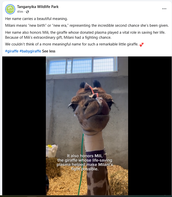 debelpolz tweet media
