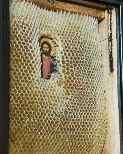 Indie5051's tweet photo. Por algún motivo, las abejas evitan figuras religiosas dentro de sus colmenas. https://t.co/aylf62E2AQ