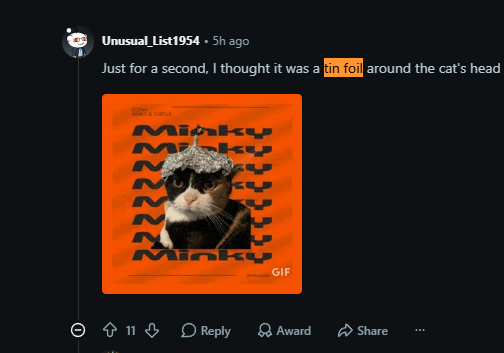 abrawlerj's tweet photo. New TREND is currently starting to go VIRAL on Reddit where people are putting their cats in underwear

TONS of people MEMEING it in the comments

They are literally comparing it to the next psyopcat. Very good meme potential here with this

https://t.co/59TJBagUVa https://t.co/u5uG0DkhPF