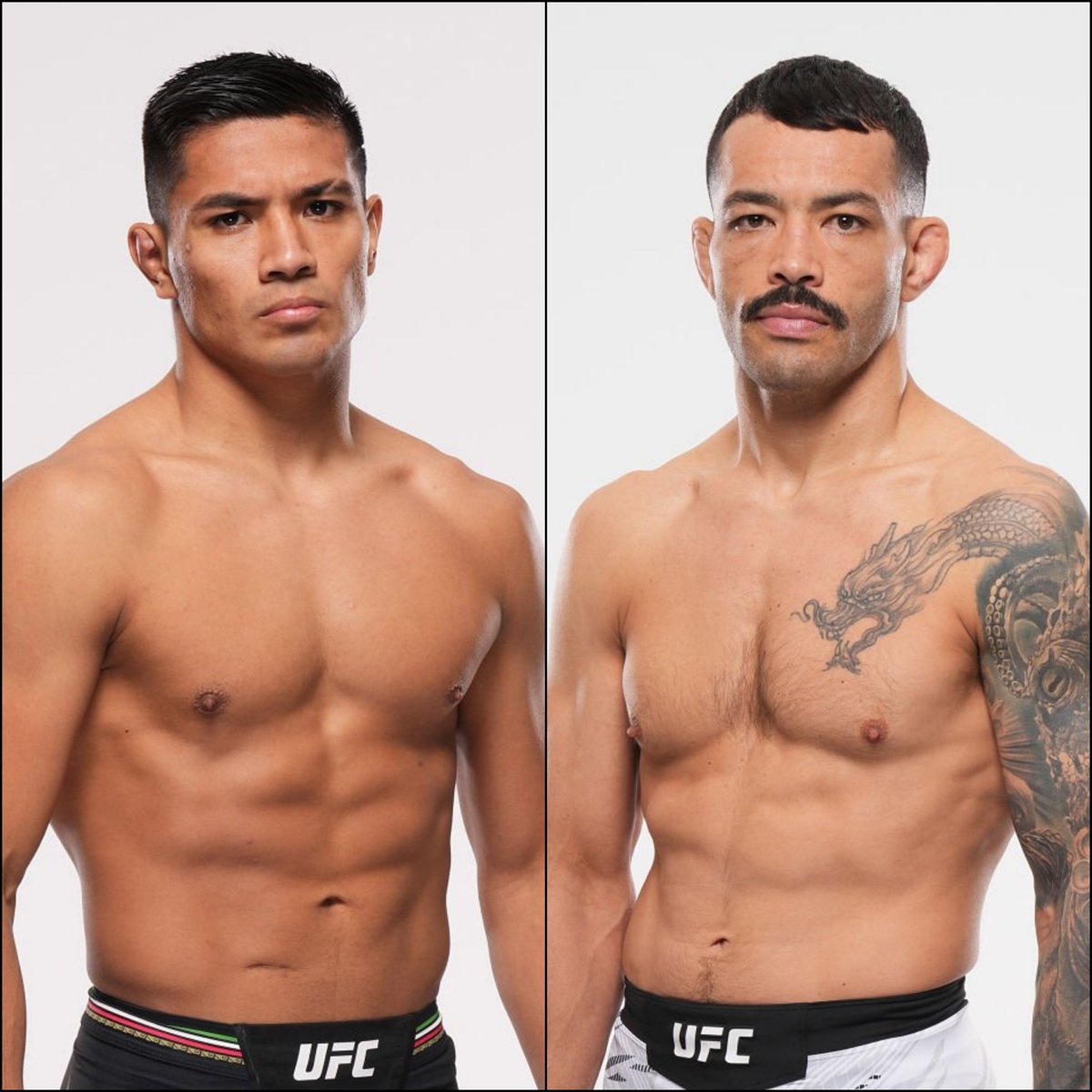 BigMarcel24's tweet photo. David Martínez will fight Dan Ige at #NocheUFC on September 12th. #UFC #MMA #UFCParamount #UFConParamount #UFC2026 https://t.co/IS9atFy9Ii