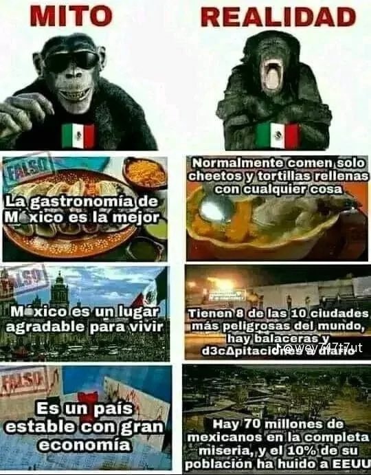 Emisario Gorgonita⭐️ tweet media