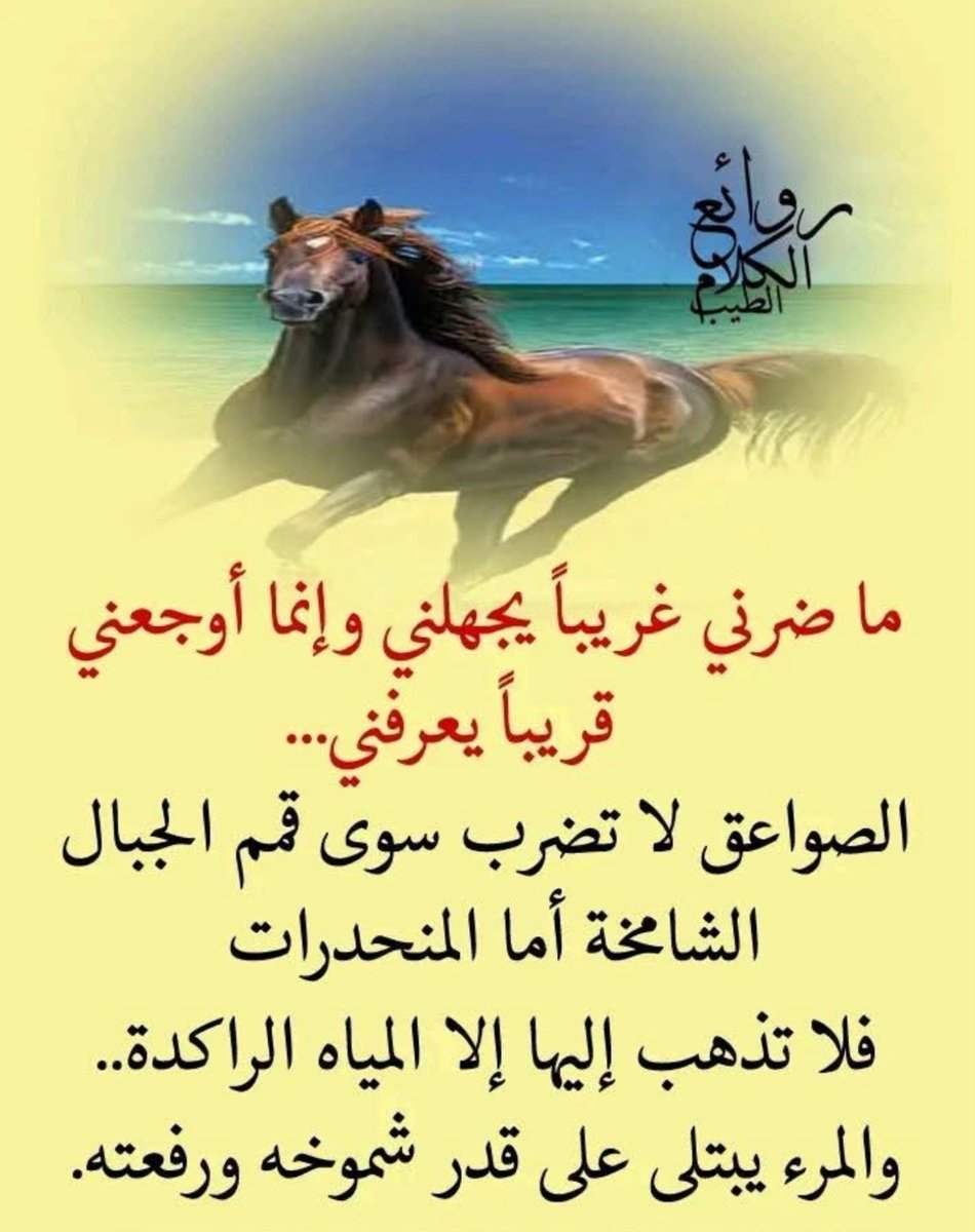 khalidAlshare16's tweet photo. https://t.co/Eo2ISgSYWA