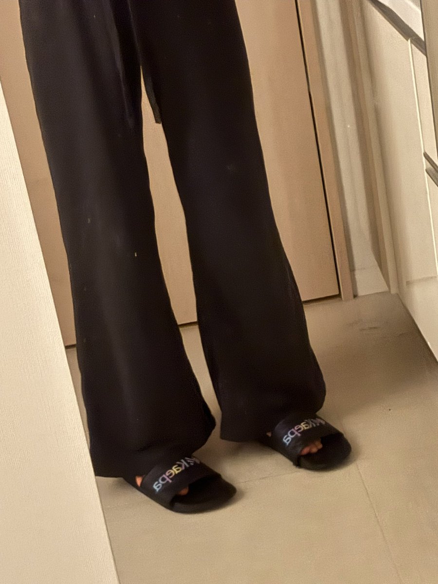 棘葉樹鱗 tweet media