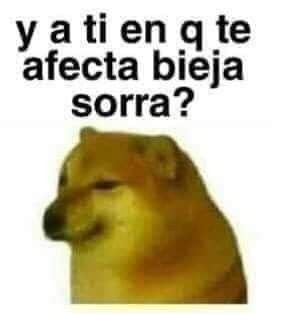 clarustarlight's tweet photo. @maestroaire_ Que te valga madre https://t.co/o3kSCKBsUc