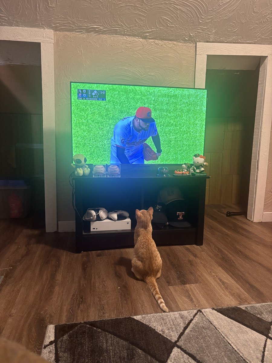 aalexschmidt's tweet photo. @ChiSoxFanMike My cat also loves Sox baseball https://t.co/Kn9prQgAKp