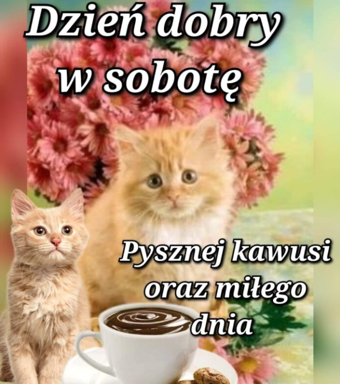 MAT5ON's tweet photo. @Gucio_lol to już ten wiek? https://t.co/dAHWkRCsTR
