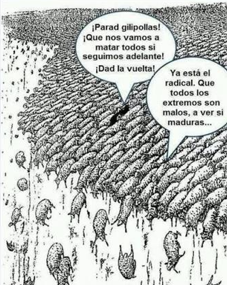 antolin pulido tweet media