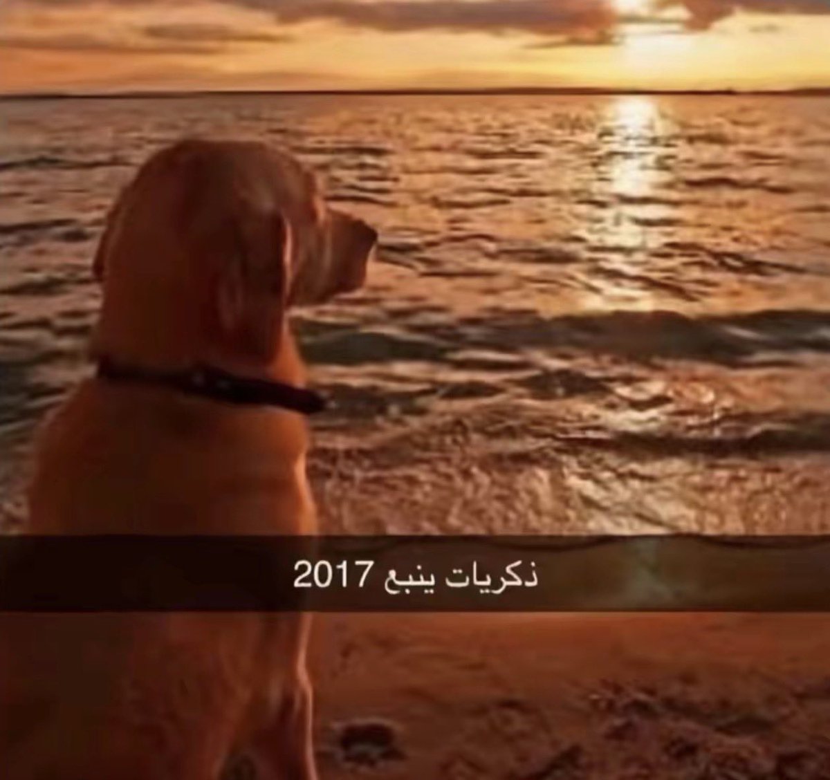 menaox2's tweet photo. Here we go الى برشلونة 
وسع يافقير هدوسك 
سوق برشلونة للان ما أبتدا
برشلونة سيكون نشط هذا الصيف https://t.co/GkBJvtp8Gj