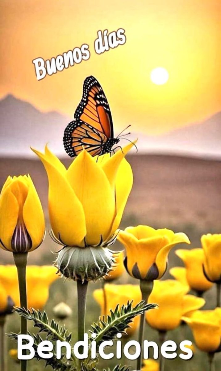 MariaIsabelgas's tweet photo. Buenos días corazones hermosos, feliz sábado para todos abrazo grande 🤗🙋🏻💙🌷😘🌞 https://t.co/Czyfq2wBdH