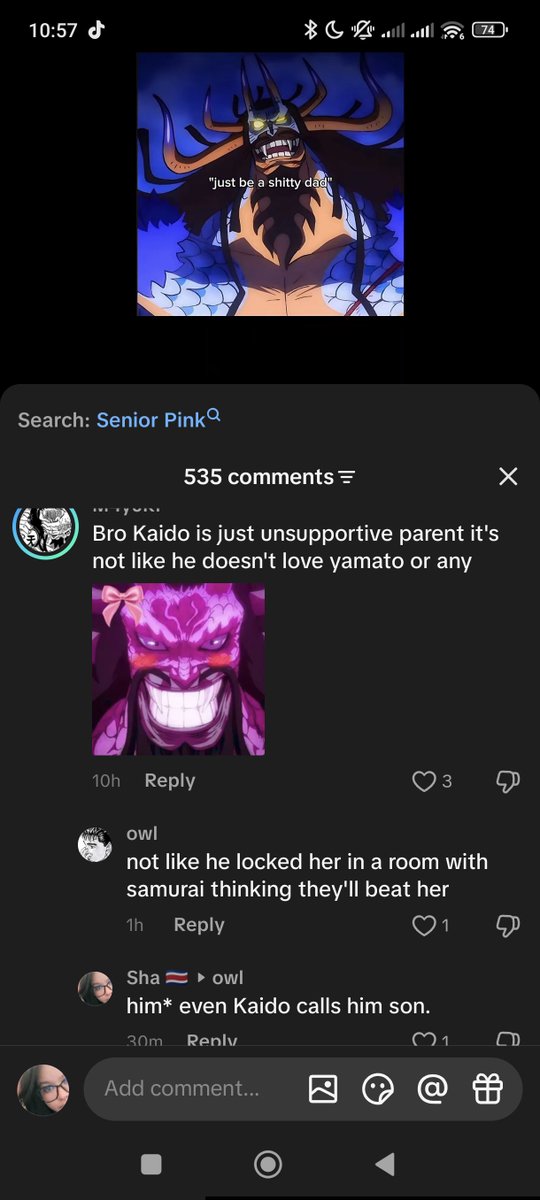 Sun0fRevolution's tweet photo. Don't mind me, just fighting someone misgendering Yamato on tiktok https://t.co/6iAQfR7qkW