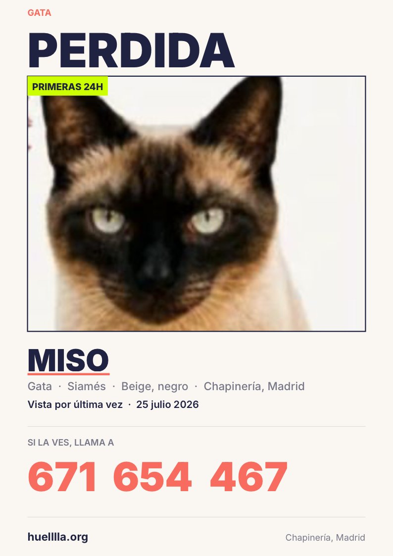 huelllla's tweet photo. Perdida en #Chapinería se asustó y se escapó durante la evacuación en Chapinería. Fue vista por la zona de Las Mercedes, hacia los chalets del final del pueblo. Es muy asustadiza y podría estar herida. Tiene microchip. Buscamos a Miso. https://t.co/19XRAHybRO https://t.co/9dxMFwyp2o