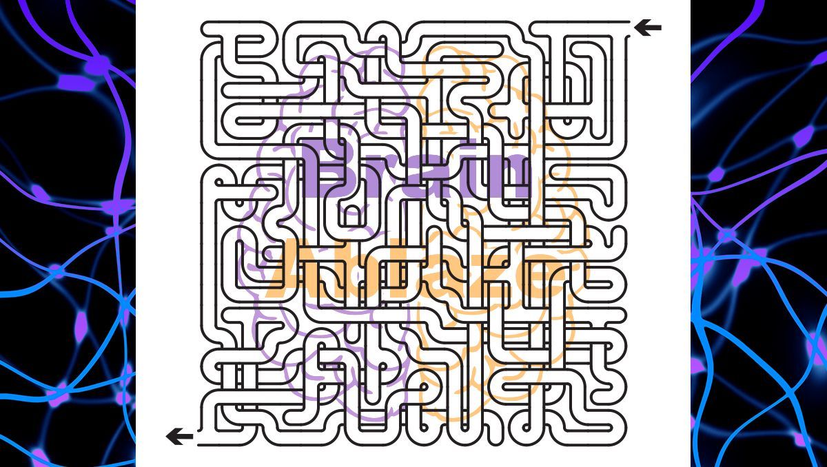 BrainAblaze's tweet photo. Nothing about #epilepsy is simple, but is there some aspect of your adaptation to the condition you've made more complicated than it actually should have been? #EpilepsyAwareness https://t.co/0SAykWFTgW