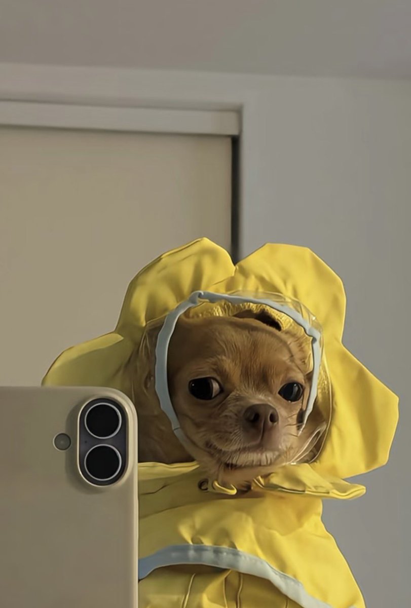 twaniimals's tweet photo. https://t.co/adSlfV8om7