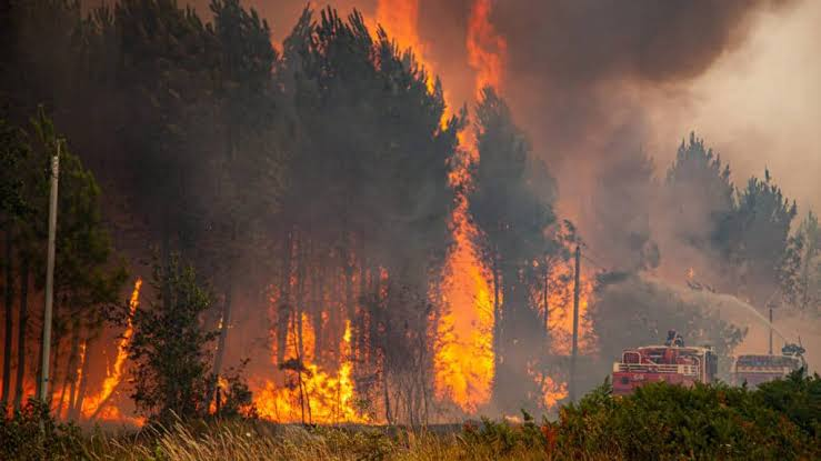 makemorocco's tweet photo. Qu'Allah vienne en aide à tous les pays touchés par les incendies, que ça soit le Maroc, l'Algérie, la Tunisie, l'Espagne, le Portugal, la France, l'Italie, la Grèce et j'en passe.

Kheir Inshaallah🤲🏼 https://t.co/iV4UySWCnw