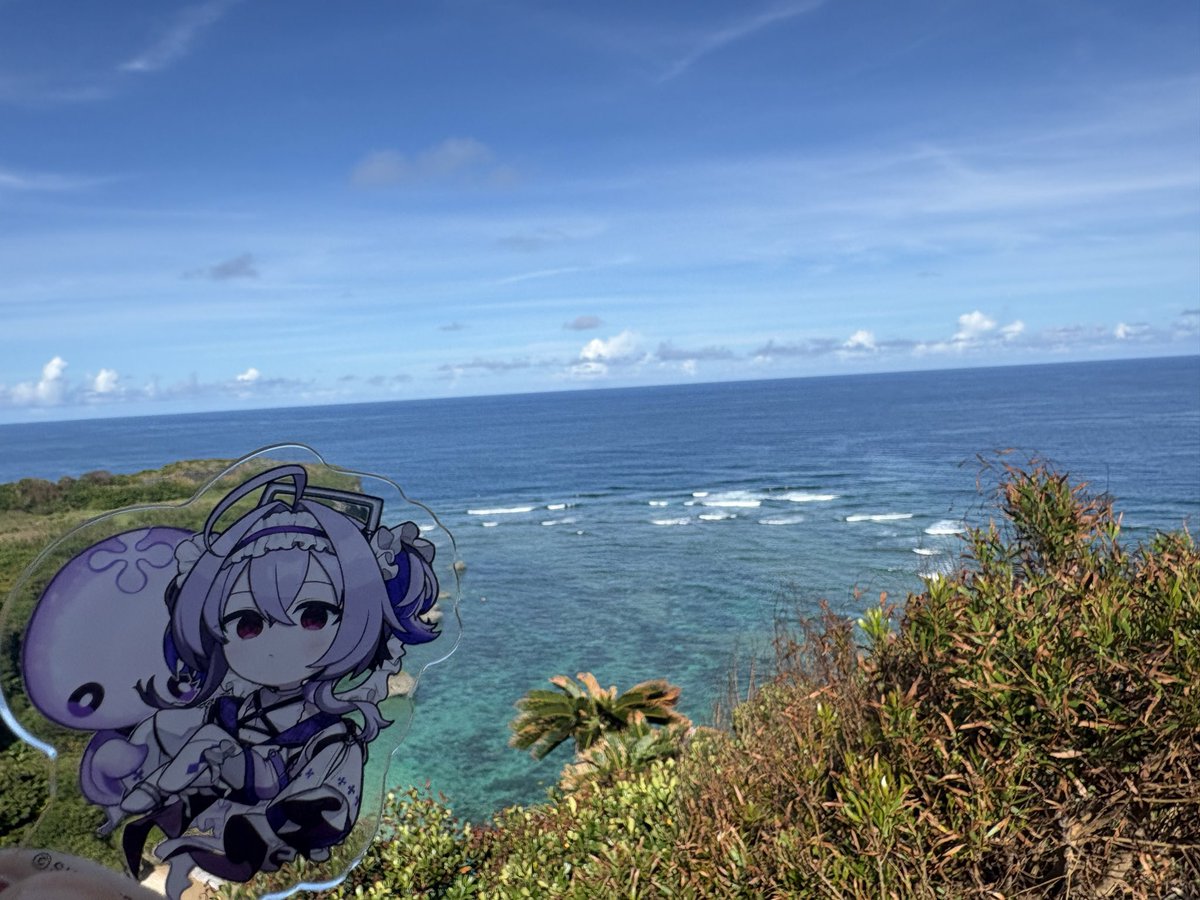 00_penguin's tweet photo. ホテル帰ー宅
晩酌して寝ま、最高かよ https://t.co/Vhd9ghqzep
