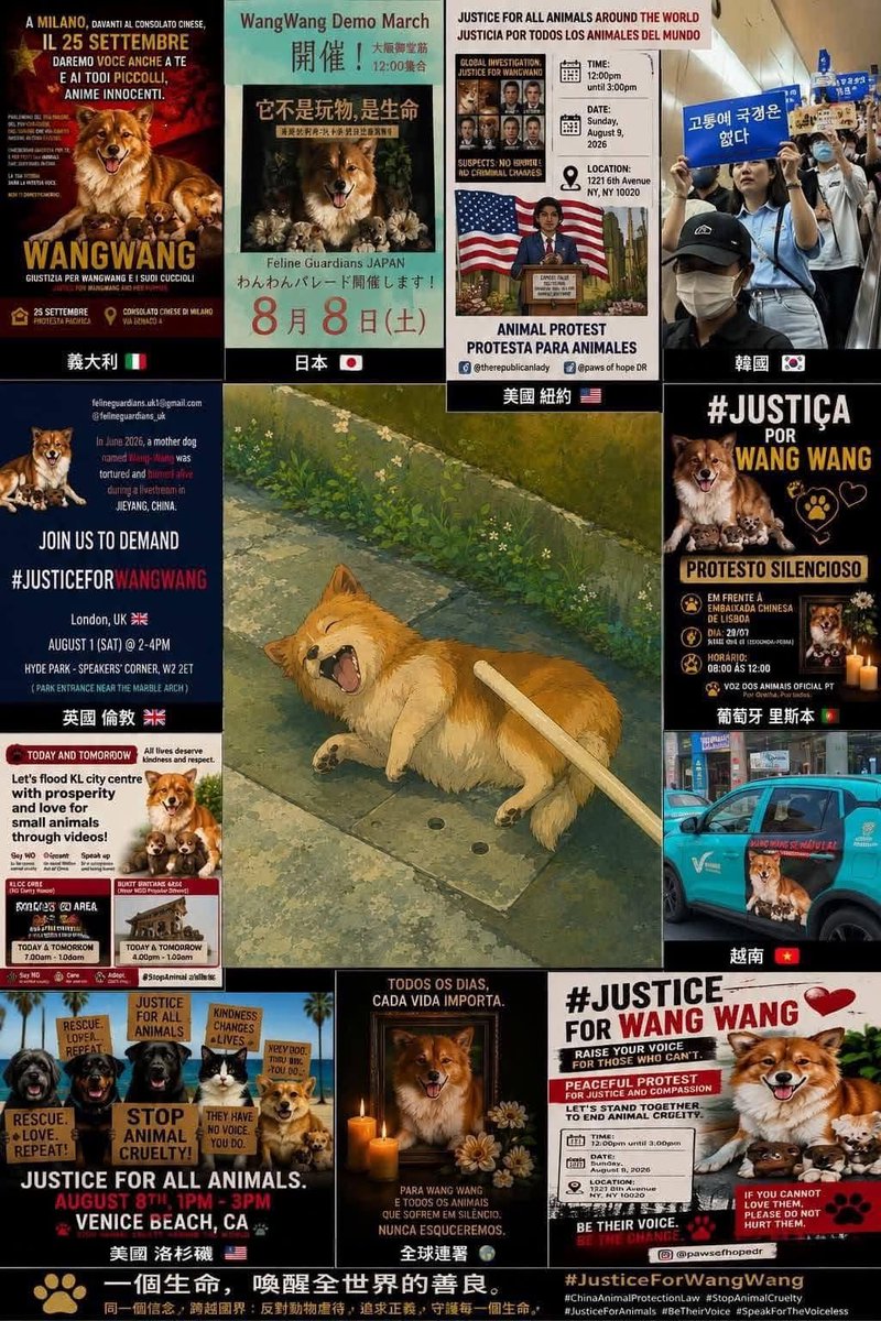 feilung_lau's tweet photo. 旺旺早已超越了一個名字的意義，成為全球動物保護運動的象徵
感謝每一位願意分享、願意發聲、願意付諸行動的人。我們將繼續前行，直到真正的改變到來。
#JusticeForWangWang https://t.co/JO8qs0FkwR