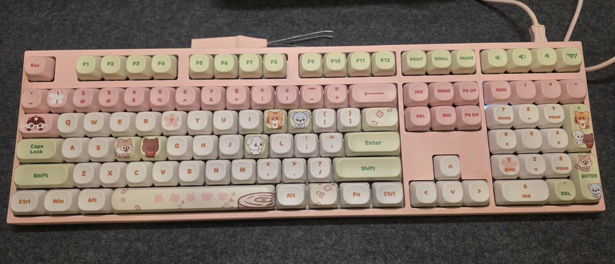 candy40233's tweet photo. 今天預購的新螢幕終於到了 Samsung G80SH
OLED看了就是舒服 但比之前的螢幕大有點不太習慣🤣

順便把鍵帽也拆起來換了🌸
T1櫻花季的鍵帽真的好好看…就是尺寸有那麼億點大害我多花了好多轉運費…… https://t.co/5c2bKyBhMk