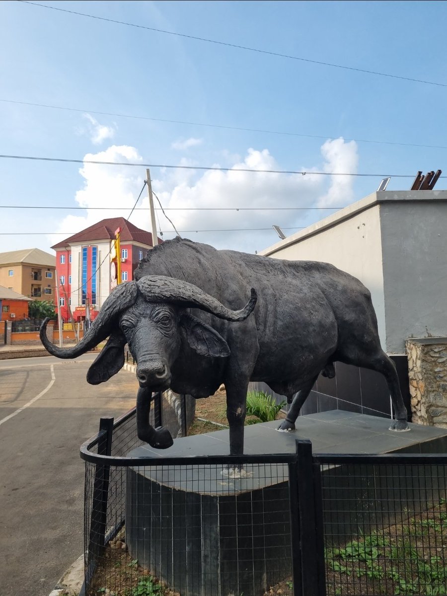 0x_Flames's tweet photo. I finally touched grass today and somehow the market sent me a sign anyway 🐂 and I came back more bullish on $ANSEM 
I think the Black Bull is everywhere once you start paying attention.
This is a Proof that touching grass is bullish @blknoiz06 https://t.co/1INUKeVWib