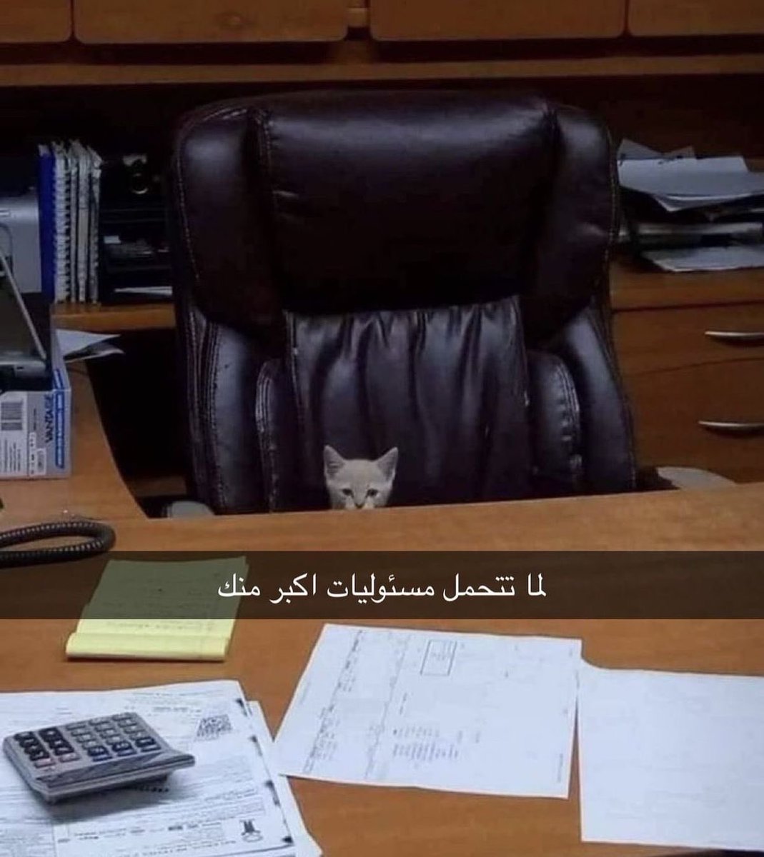 ferripepe0's tweet photo. @imhvvj ابشرري https://t.co/v4LcLwaGCN