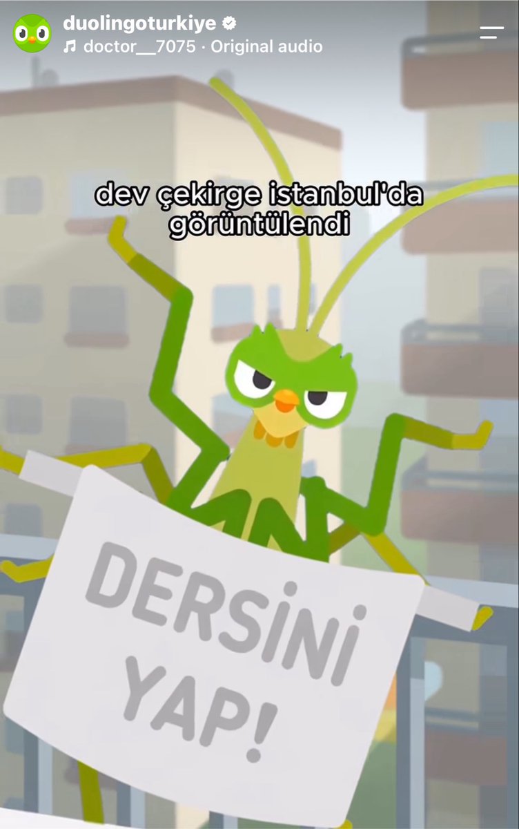 stanotfive's tweet photo. duolingo ig adminine ceo maaşı verilmesi gerektiğini düşünüyorumHSJSHDHSJDAL https://t.co/CEzl50eaDg