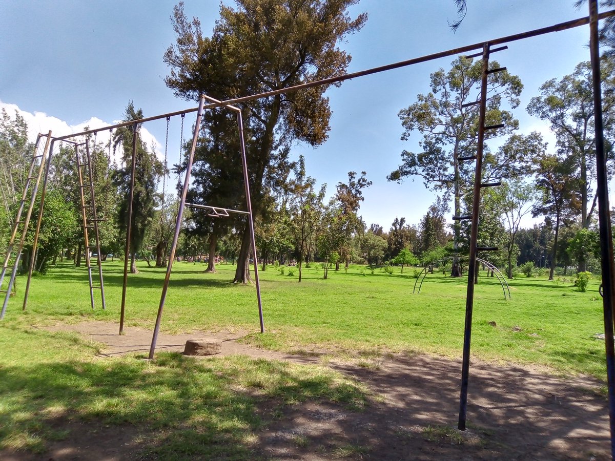 rodrigo_gard's tweet photo. Día de entrenamiento 🌳🏃🏻🌳🏋🏻🌳 https://t.co/3MzzubKDMa
