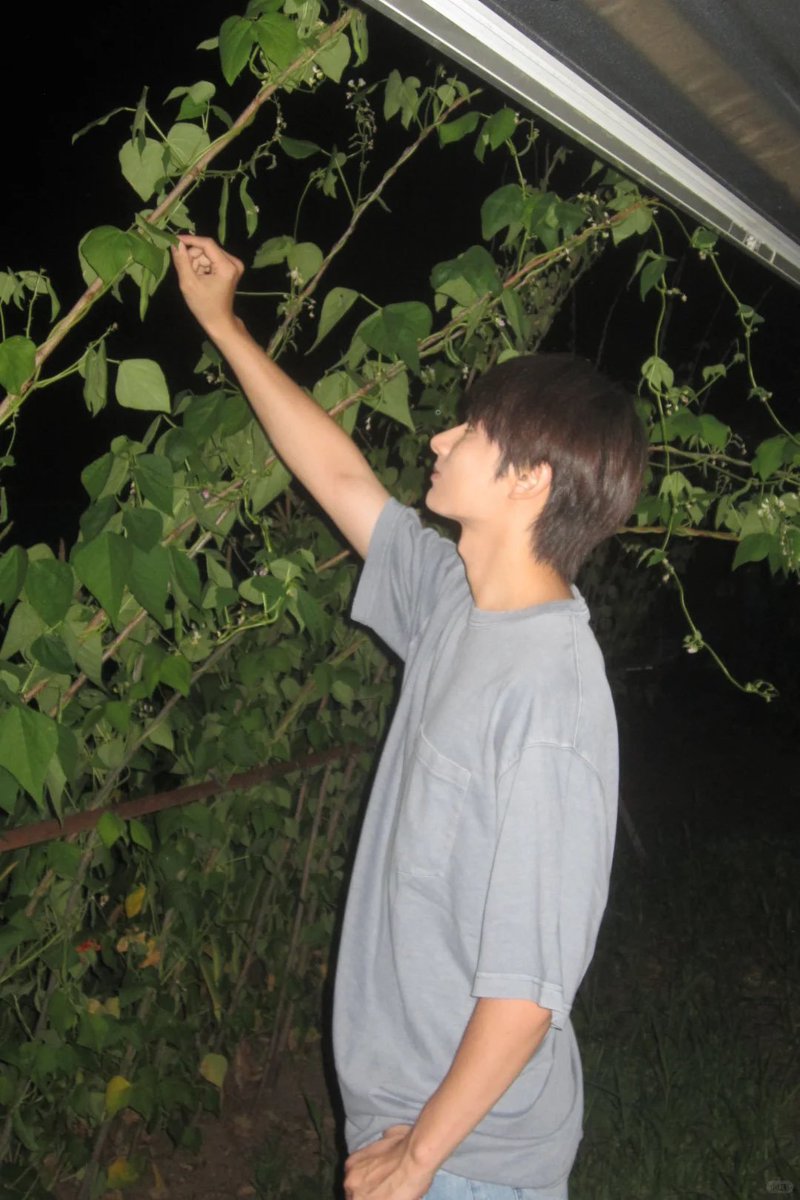 juncheolthinker's tweet photo. 260725 🐱 junhui_moon update 🍃 (1) #文俊辉 #준 #JUN https://t.co/JdpuTI8wlP