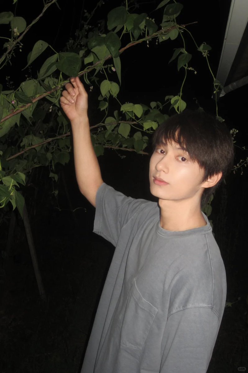 juncheolthinker's tweet photo. 260725 🐱 junhui_moon update 🍃 (1) #文俊辉 #준 #JUN https://t.co/JdpuTI8wlP