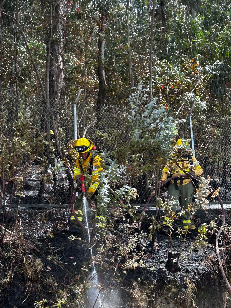 BomberosQuito's tweet photo. 🚨 #EmergenciasUIO | Esta mañana, atendimos una emergencia por una quema de desechos en el sector de la Zona de Protección Rumipamba, laderas del Volcán Rucu Pichincha.

🚒 Gracias a la rápida intervención de nuestro equipo, el fuego fue confinado y controlado evitando su propagación.

👨‍🚒 Al momento, realizamos labores de enfriamiento y nos mantendremos en el lugar en constante monitoreo para dejarlo en condiciones seguras.

🙏 Recuerda que realizar quemas agrícolas o de desechos está prohibido y tiene sanciones que llegan hasta los $36.000.

#BomberosQuito