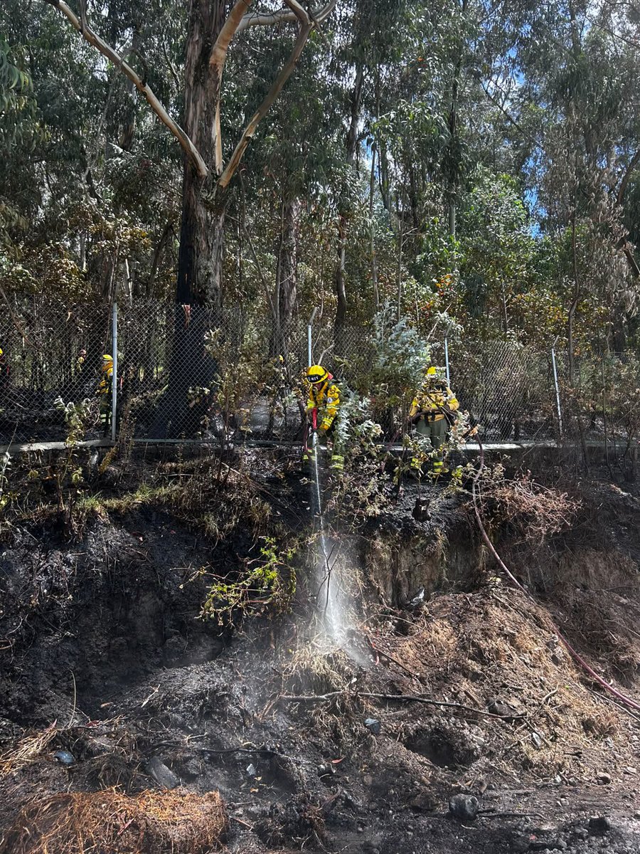 BomberosQuito's tweet photo. 🚨 #EmergenciasUIO | Esta mañana, atendimos una emergencia por una quema de desechos en el sector de la Zona de Protección Rumipamba, laderas del Volcán Rucu Pichincha.

🚒 Gracias a la rápida intervención de nuestro equipo, el fuego fue confinado y controlado evitando su propagación.

👨‍🚒 Al momento, realizamos labores de enfriamiento y nos mantendremos en el lugar en constante monitoreo para dejarlo en condiciones seguras.

🙏 Recuerda que realizar quemas agrícolas o de desechos está prohibido y tiene sanciones que llegan hasta los $36.000.

#BomberosQuito