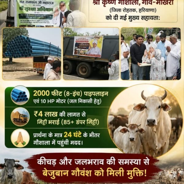 Ekta_988's tweet photo. #गौ_सुरक्षा_अभियान
 संत रामपाल जी महाराज के गौ सुरक्षा अभियान के तहत श्री कृष्ण गौशाला, गांव- मोखरा (जिला रोहतक, हरियाणा) को दी गई मुख्य सहायता:
• 2000 फीट (8-इंच) पाइपलाइन एवं 10 HP मोटर (जल निकासी हेतु)
• ₹4 लाख की लागत से मिट्टी भराई (85+ डंपर मिट्टी)
 Sant Rampal Ji https://t.co/ToJPdS2Vmj