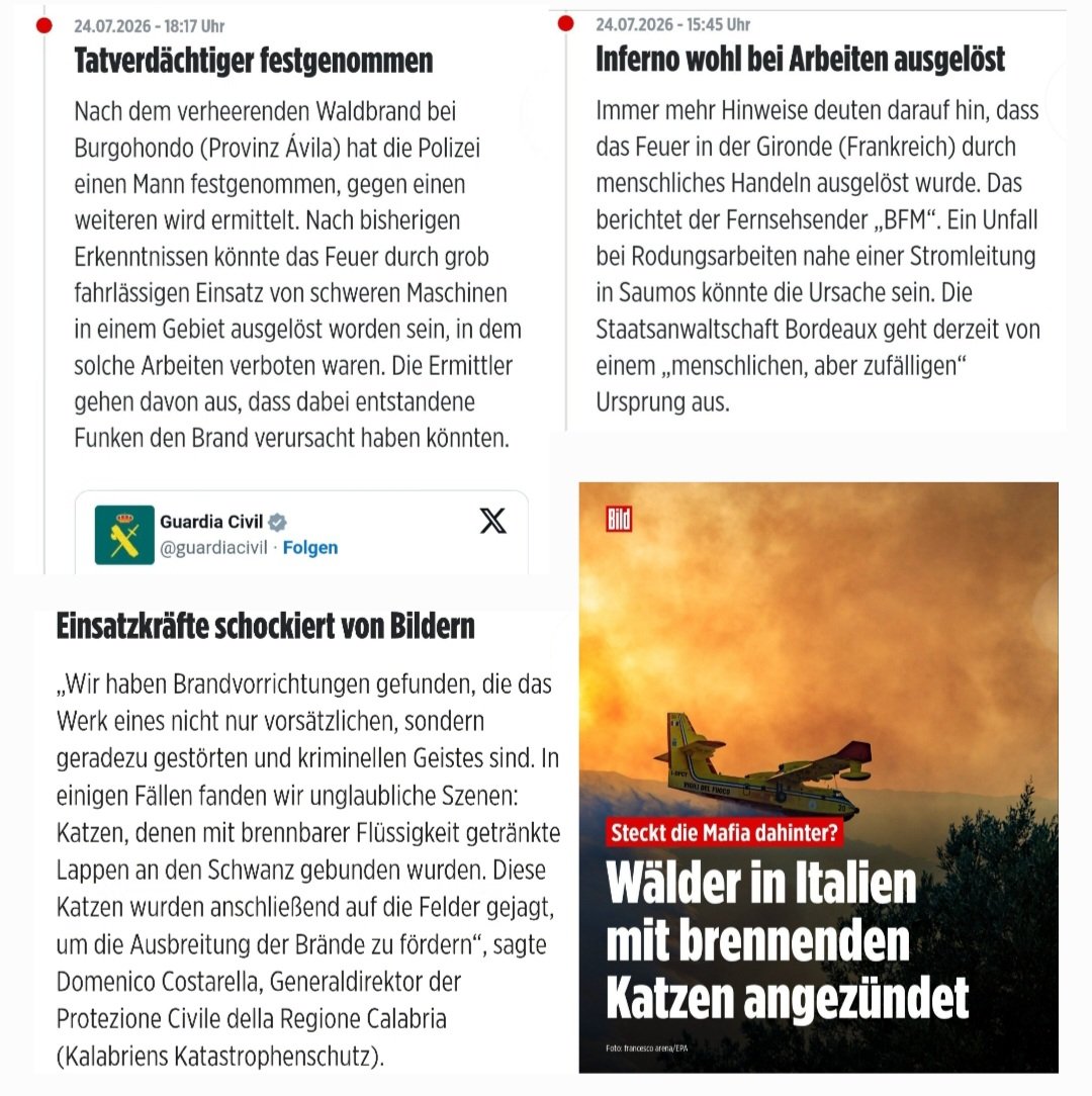 Michel tweet media