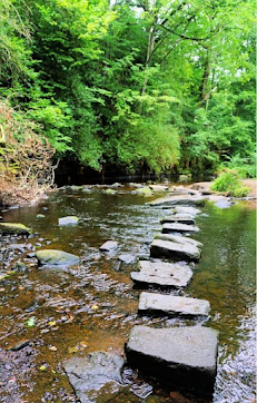 PeteWriting's tweet photo. #Writer #Poetry #WritingCommmunity #Scribblings
Today's clickety clicks😉
2. Stepping Stones
Poetry.
Stepping stones? In the woods? Hmm, yes, indeed, Chesterton, why not, indeed? Eh? Hmm? #Kenwyn #Allen #Bosvigo #Truro
https://t.co/teDWdyG8Pv https://t.co/a1wLwLdtc7