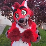 Photo by ElectroWuff (inactive) (@Electro_Wuff)